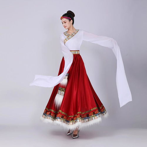 藏族舞蹈演出服装女艺考舞蹈裙半身裙夏练习水袖大摆裙广场舞服装