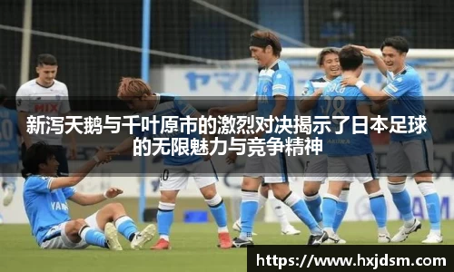 DG视讯官方网站
